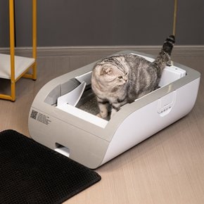 LITTEPETS 고양이 자동화장실 대형 항균 탈취 자동청소센서 업그레이드 버전