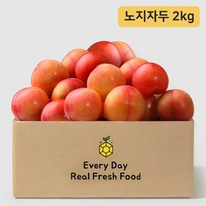 새콤달콤 노지 자두 2kg