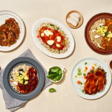홀리셔스 감탄 도시락 5종 10팩