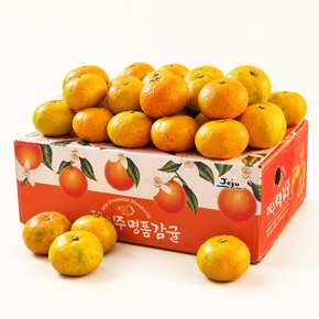 이제주 새콤달콤 극조생 노지감귤 2.5kg (중과 M-L)