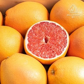 [웰굿] 프리미엄 레드 자몽 2kg(6과내외,개당340g내외)