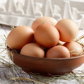 Fresh 한끼해줘 무항생제 대란 30구 계란 달걀
