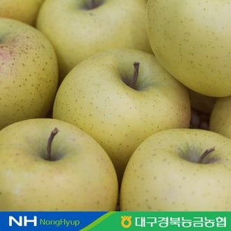 대구경북능금농협 경북 청송 시나노골드 5kg 11~16과 대과