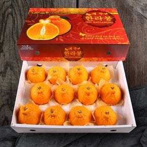 [올찬] 한라봉 선물세트(특대) 5kg(12-14과) / 제주직송 !!