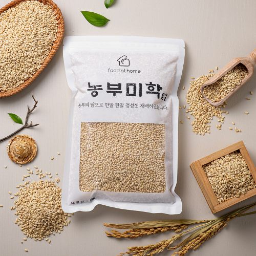 이미지 P
