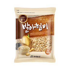 2024년 햅쌀 국산 발아현미 700g