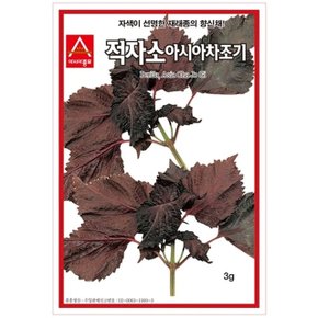 붉은 잎들깨씨앗 적자소 아시아차조기 3g 쌈씨앗 종자 (WBE5D39)
