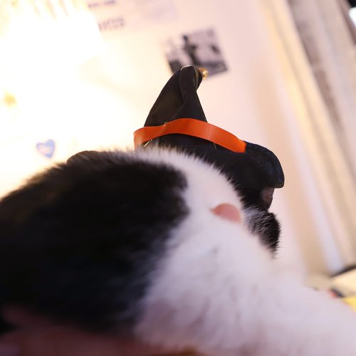 상품이미지5