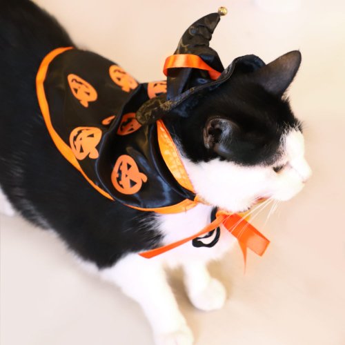 상품이미지7