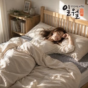 시그니처 차콜 초절전형 워셔블 카본 탄소 전기매트 / 더블