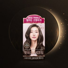 우아채 영양새치염색 자연갈색5N 120G 2개