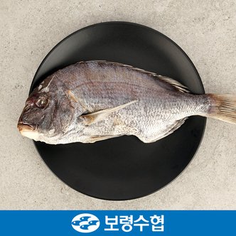 보령수협 국내산 반건조 참돔 2미 1kg(500g*2팩)