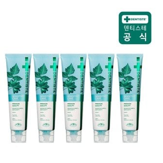 덴티스테 뉴 센서티브 치약100g 5개