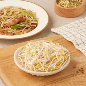 국산무농약 숙주 500g(봉)