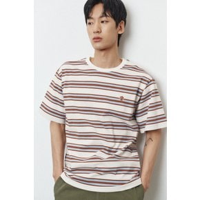 Cotton Stripe Round Neck T-shirt_Brown_LSTD0TS91U