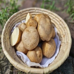 국내산 햇 수미 감자 10kg (특/110-160g)