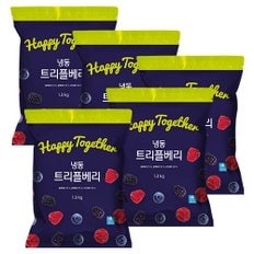 [생활앤] 냉동 트리플베리 1.3kg x 5팩