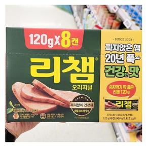 동원 리챔 120g X 8개입 x 1개