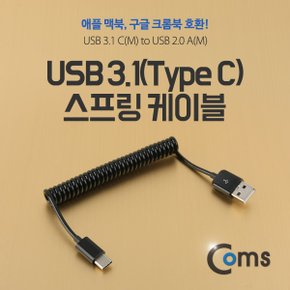 USB 3.1 케이블 (Type C) NA938