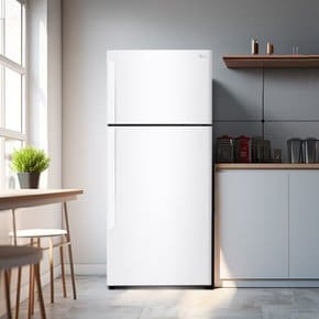 [LG전자 직영] 일반냉장고 B502W33 (507L)