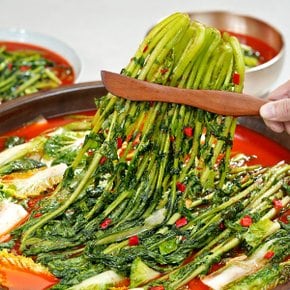 시원 칼칼 열무 자박이 1kg/캔