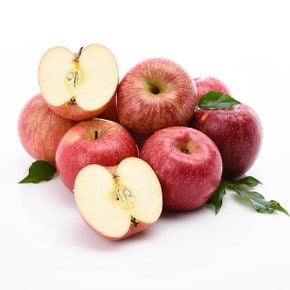 아삭아삭 사과 2kg (가정용/13과내)