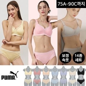 편안한 보정 브라팬티 14종세트 외 택일(75A-90C까지)