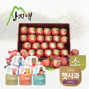 [2024햇사과] 산지애 씻어나온 어린이 꿀사과 5kg 1box (소과)+리얼주스5팩