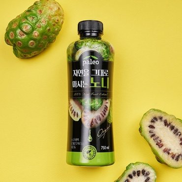 팔레오 자연을 그대로 마시는 노니 750ml*16병