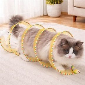 고양이 터널 장난감 고양이 터널 반려동물 스크래치 놀이터 미로