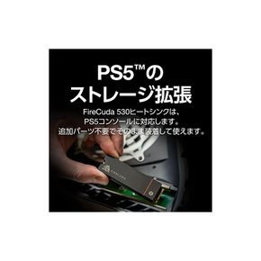 Seagate FireCuda 530 M.2 히트 싱크 포함 PS5 동작 확인 완