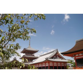오사카/교토/고베/나라 4일 시내호텔숙박 4성급호텔 우지 녹차마을 청수사 아토아수족관 고후쿠지 사슴공원