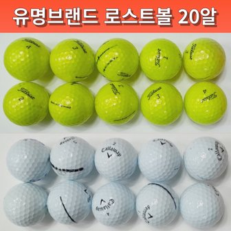 타이틀리스트 20알 비재생 컬러 화이트 골프 유명 브랜드 추천 연습용 로스트 볼 공