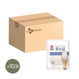 CJ제일제당 백설 꽃소금 1kg x10개