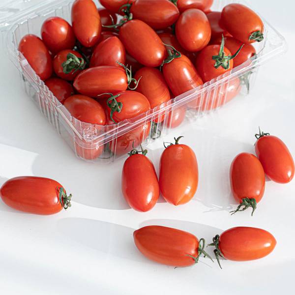 스테비아 방울토마토 2kg(1kg+1kg)