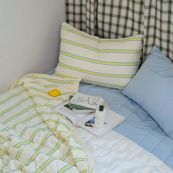 더블리 블랑빈티지 M2 알러지케어 냉감이불 Q