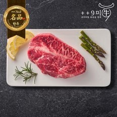[냉장]1++No9등급 투뿔 한우 부채살 구이용 500g