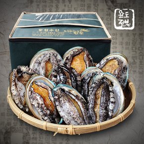 [생일도 참전복]완도직송 총각이 키운 활전복 선물세트 1kg(10-12미)[양식]