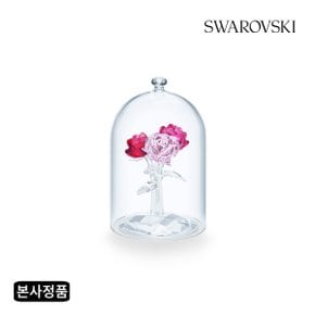 [본사정품/선물포장] Rose Bouquet 로즈 부케 5493707