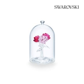 [본사정품/선물포장] Rose Bouquet 로즈 부케 5493707