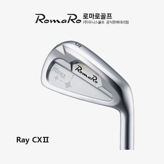 BIG GOLF [로마로골프 정품] RAY-CX II 스틸 7개 아이언세트 [NS 950]