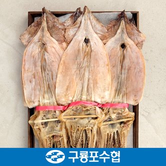 구룡포수협 포항 구룡포 건오징어 10미(550g내외)