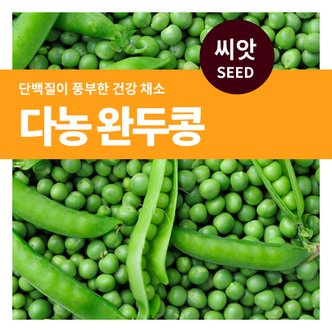 마이플랜트 다농 완두콩 채소 씨앗 50g
