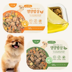 영양밥상 전연령 강아지 습식사료 치킨/오리 x 30개