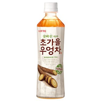  잘빠진 하루 초가을 우엉차 500ml 12입