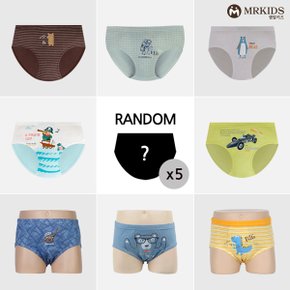 아동 랜덤 남아삼각팬티 아동속옷 5종세트_P301388659