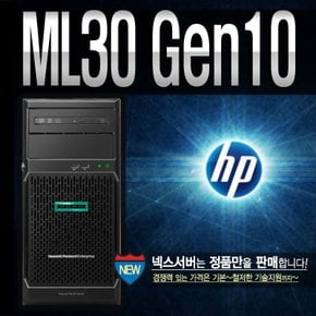 ML30 Gen10 (E-2224 3.4GHz 4C / 16G / 1TB X 2) HP Server