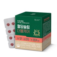 혈당슬림 더블케어 (300 mg x 168정)