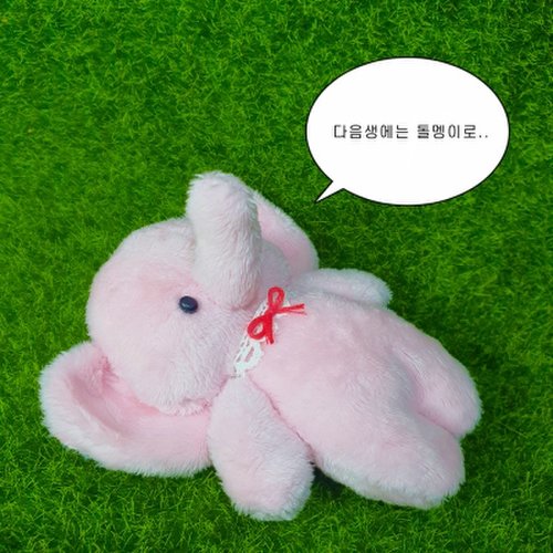 아기 코끼리 봉봉 인형 키링 5
