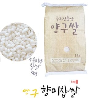  강원도 양구쌀 향찰미5kg 찹쌀 누룽지향
